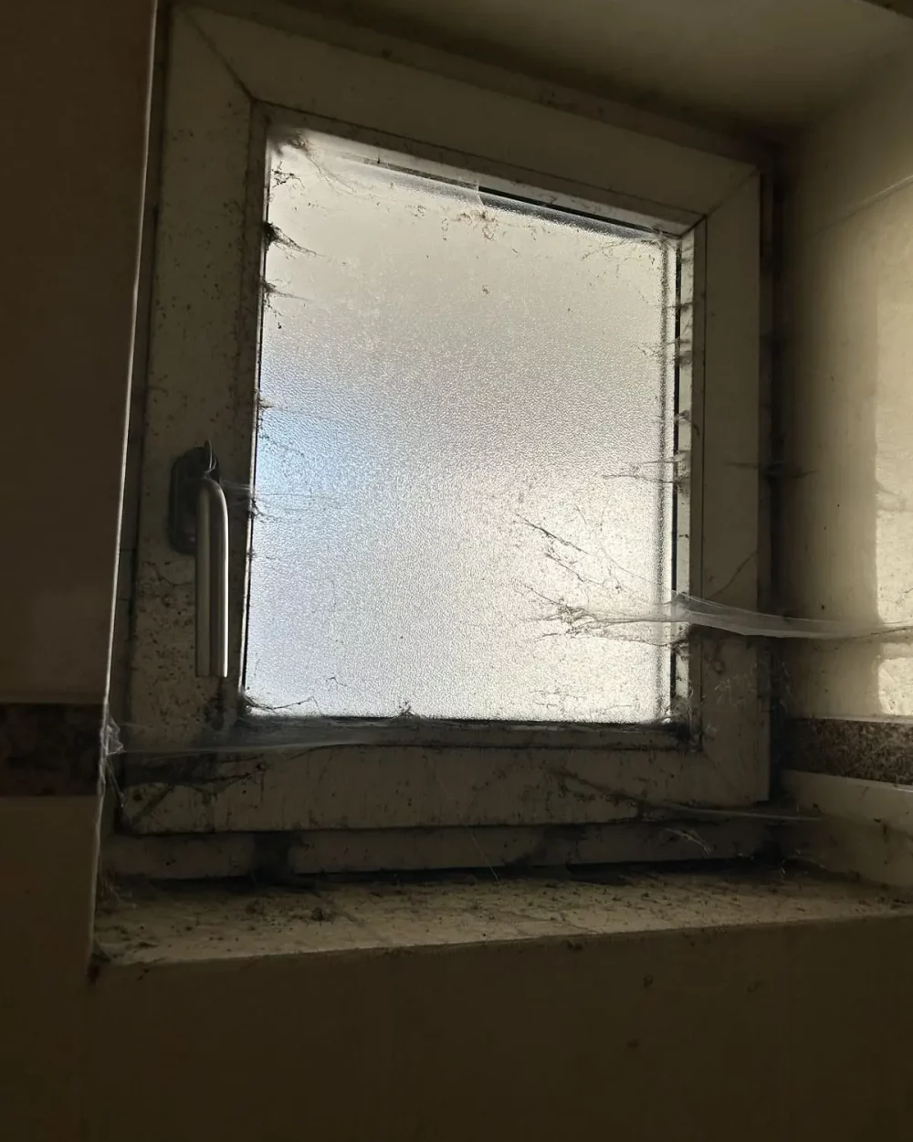 messi wohnung dortmund fenster reiningung messi wohnung dortmund fenster reiningung